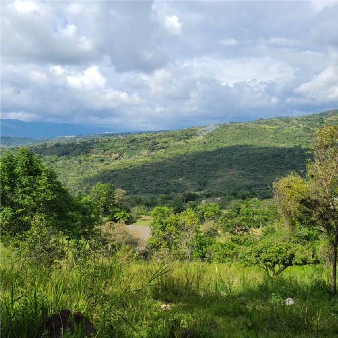 A view from La Matilde in the Columbia Andes at an altitude of about 1500m.